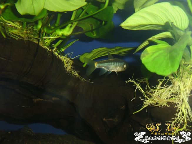 新生报到·····大家好