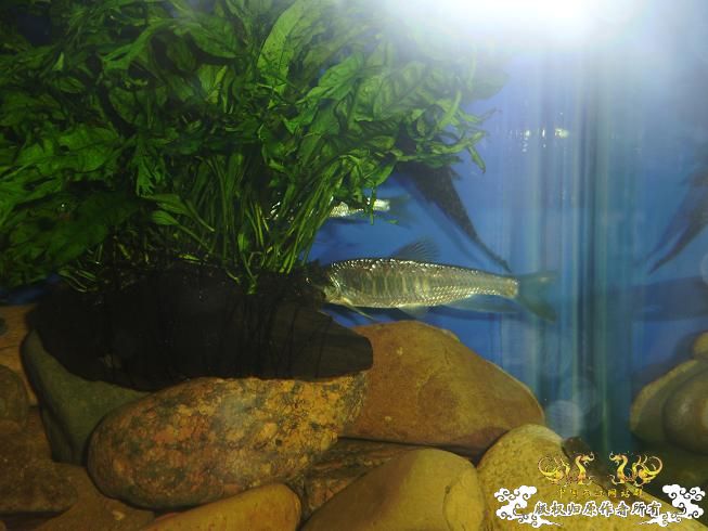 新生报到·····大家好