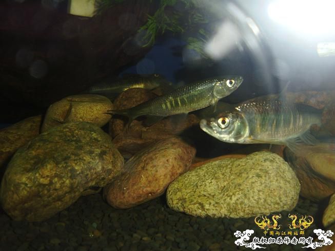 新生报到·····大家好