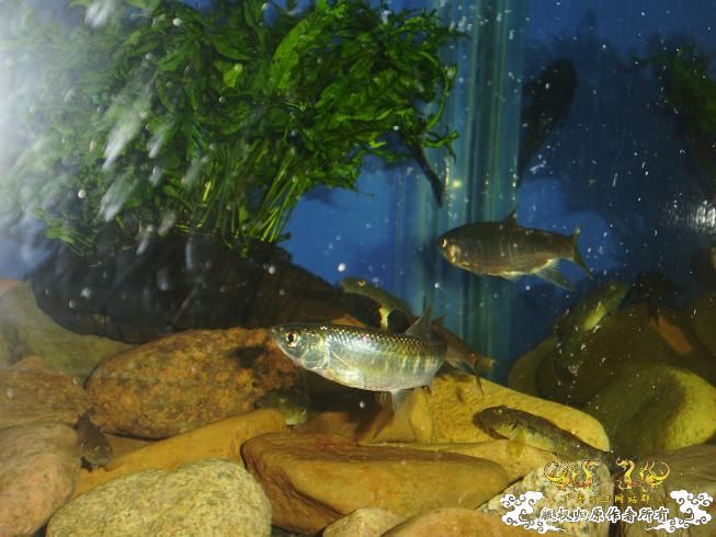 新生报到·····大家好