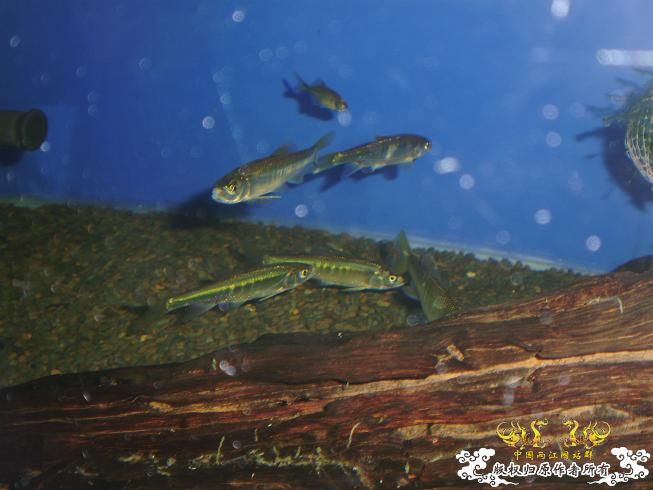 新生报到·····大家好