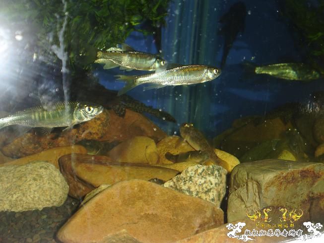 新生报到·····大家好