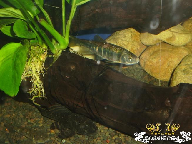 新生报到·····大家好