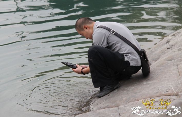 化石，要看野采化石的进来。