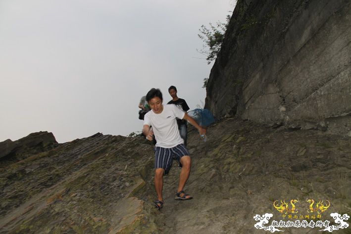 化石，要看野采化石的进来。