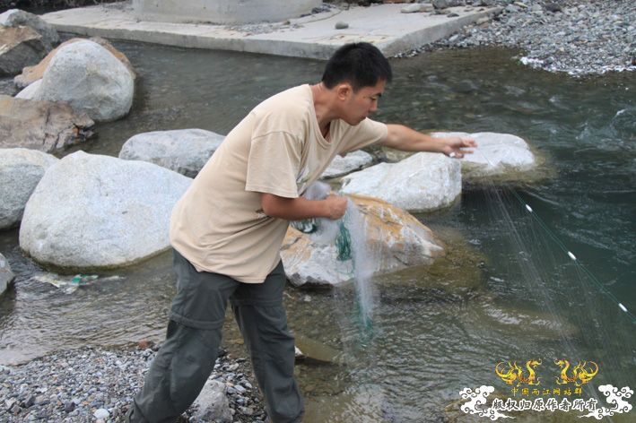 化石，要看野采化石的进来。