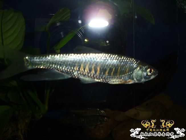 [贴图]刚拍的··给大家看看················