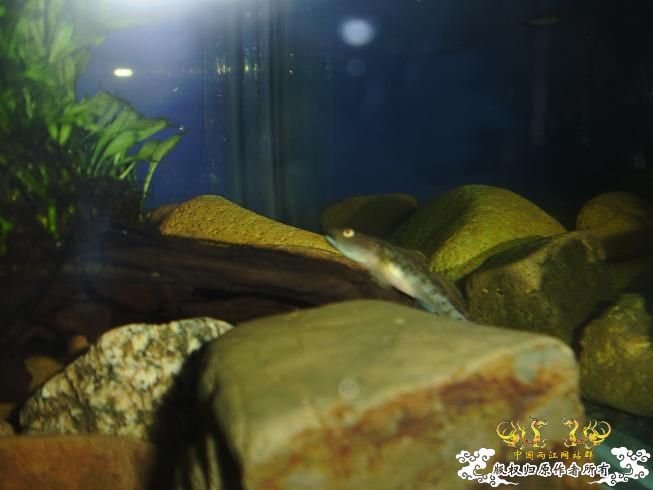 [贴图]刚拍的··给大家看看················