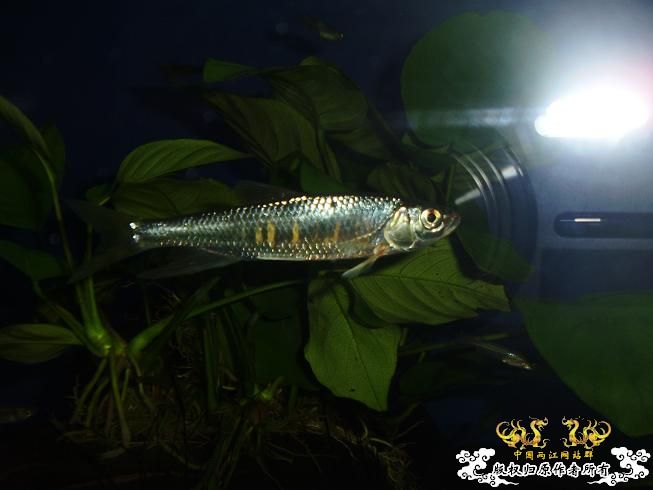 [贴图]刚拍的··给大家看看················