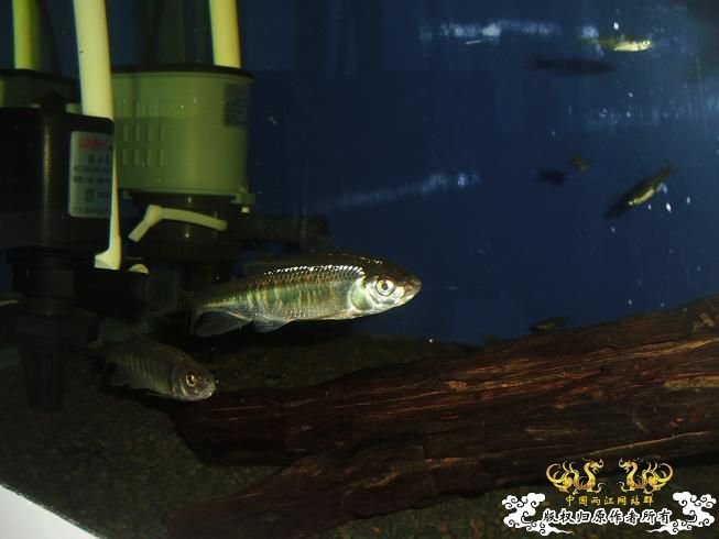 [贴图]刚拍的··给大家看看················