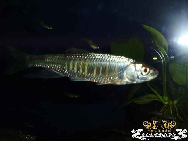 [贴图]刚拍的··给大家看看················