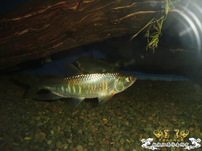 [贴图]刚拍的··给大家看看················