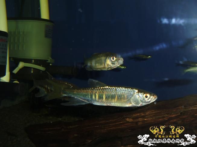 [贴图]刚拍的··给大家看看················