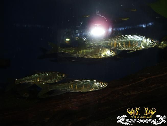 [贴图]刚拍的··给大家看看················