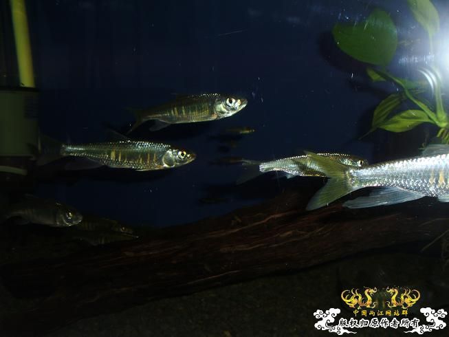 [贴图]刚拍的··给大家看看················