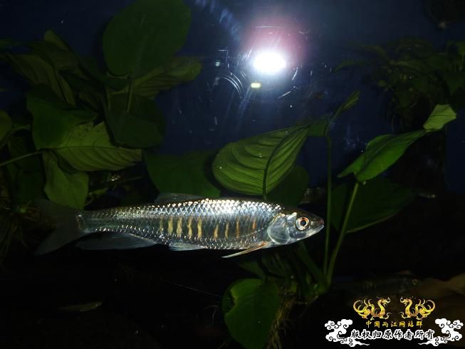 [贴图]刚拍的··给大家看看················