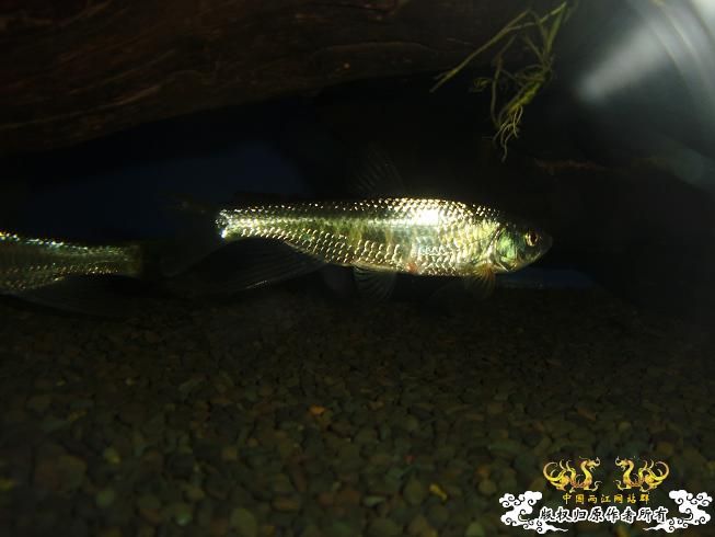 [贴图]刚拍的··给大家看看················