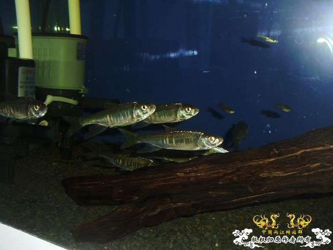 [贴图]刚拍的··给大家看看················