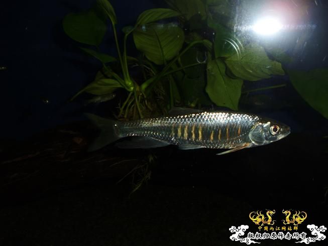 [贴图]刚拍的··给大家看看················