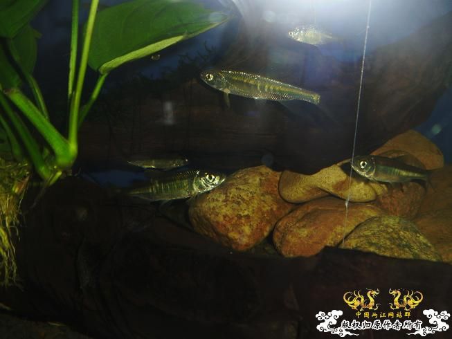 [贴图]刚拍的··给大家看看················