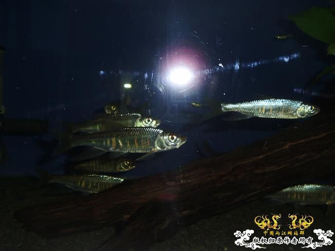 [贴图]刚拍的··给大家看看················