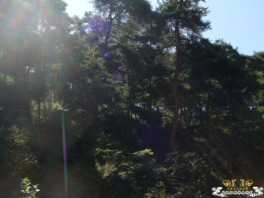 秋日山林·色彩