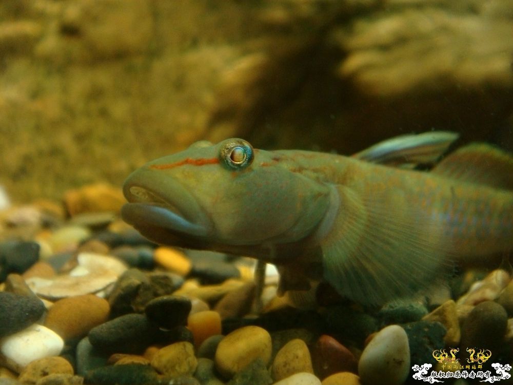 kl9iJYm7.jpg kl9iJYm7.jpg