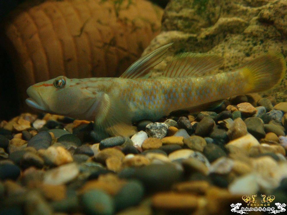 350yTMdQ.jpg 350yTMdQ.jpg