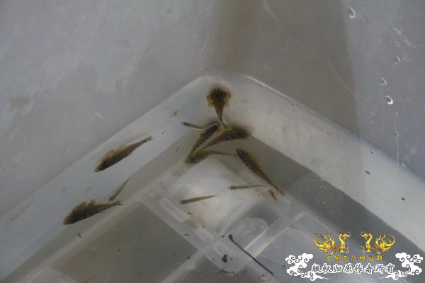 底砂探寻