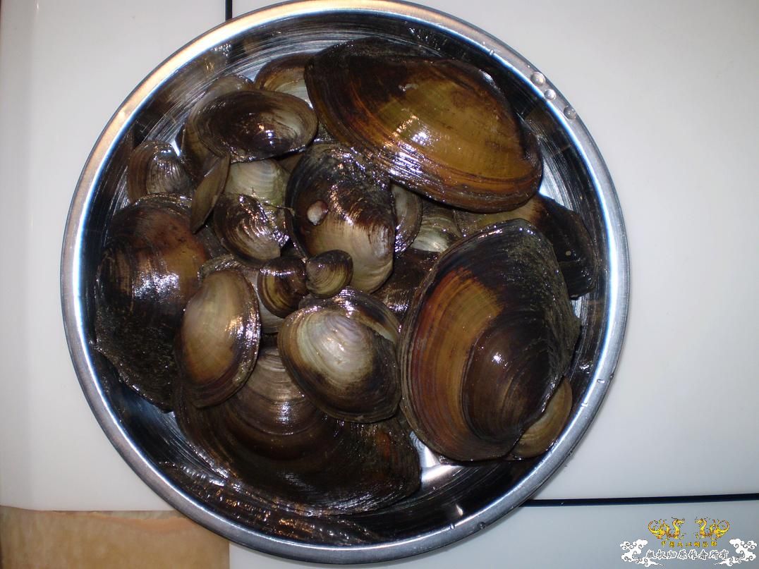 河边小溜的战果