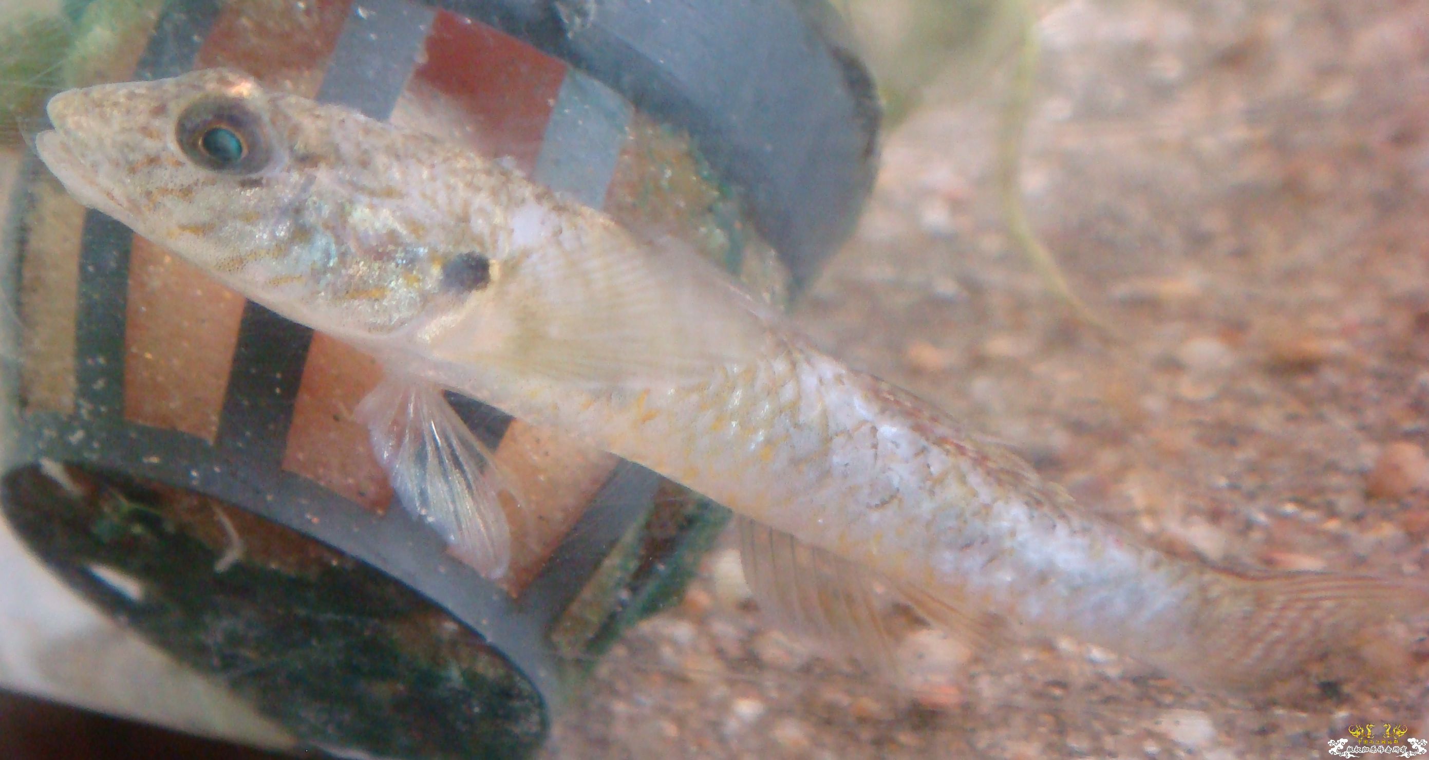 各位老大看看，啥毛病啊。