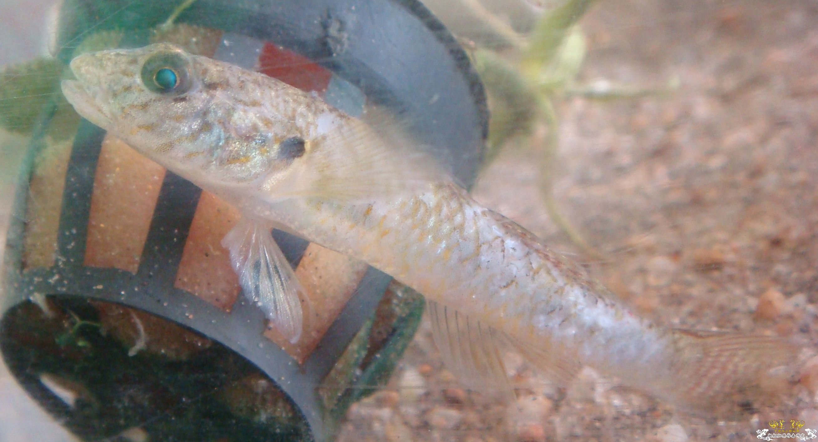 各位老大看看，啥毛病啊。