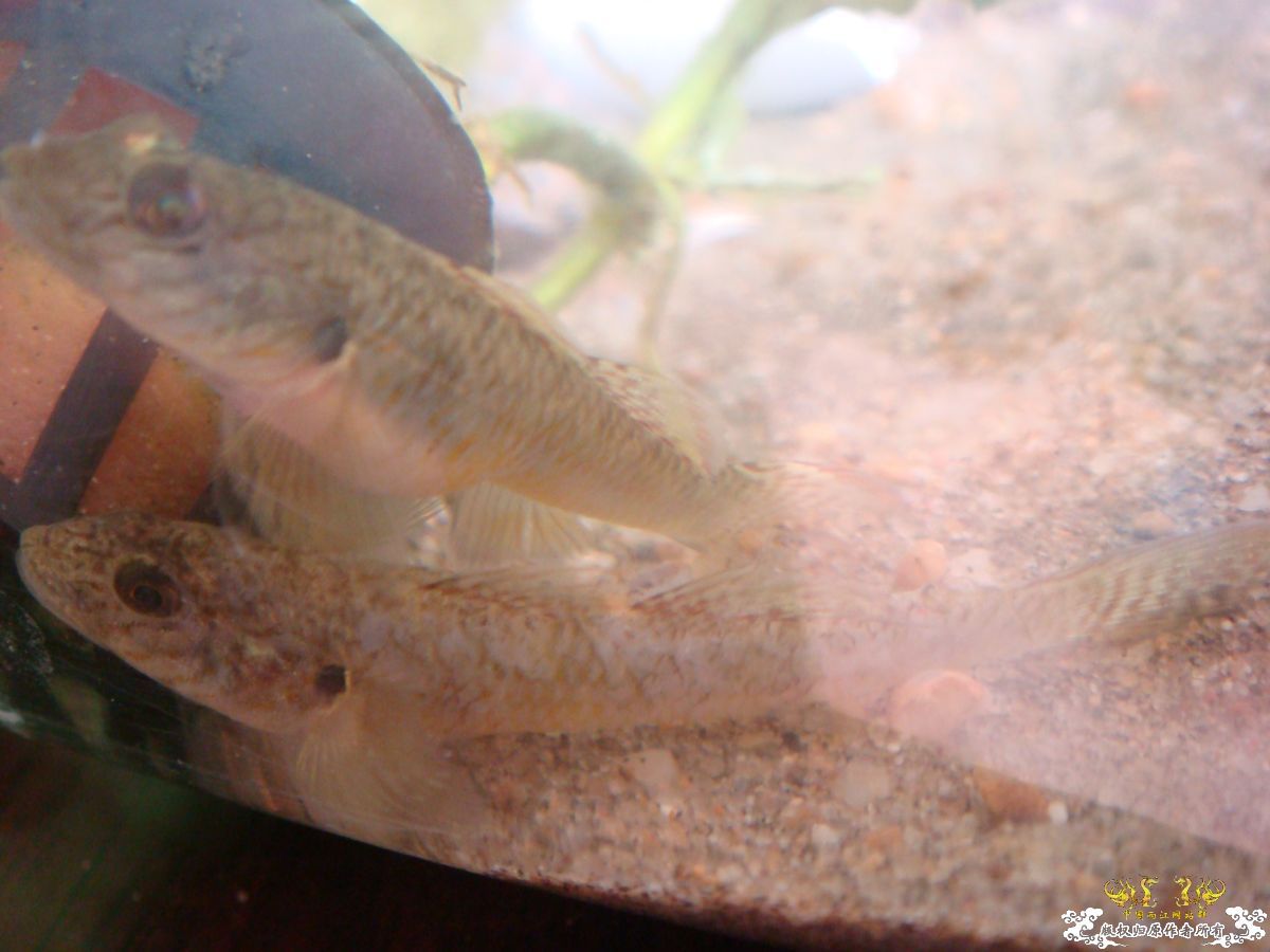 各位老大看看，啥毛病啊。