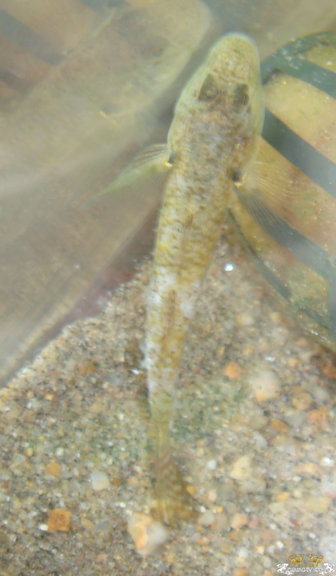 各位老大看看，啥毛病啊。