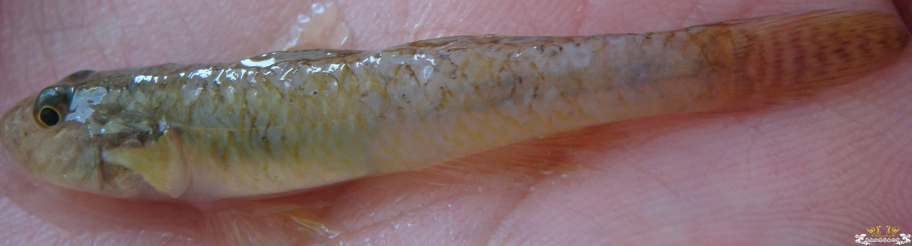 各位老大看看，啥毛病啊。