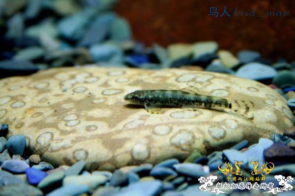 佳能400D套头随拍