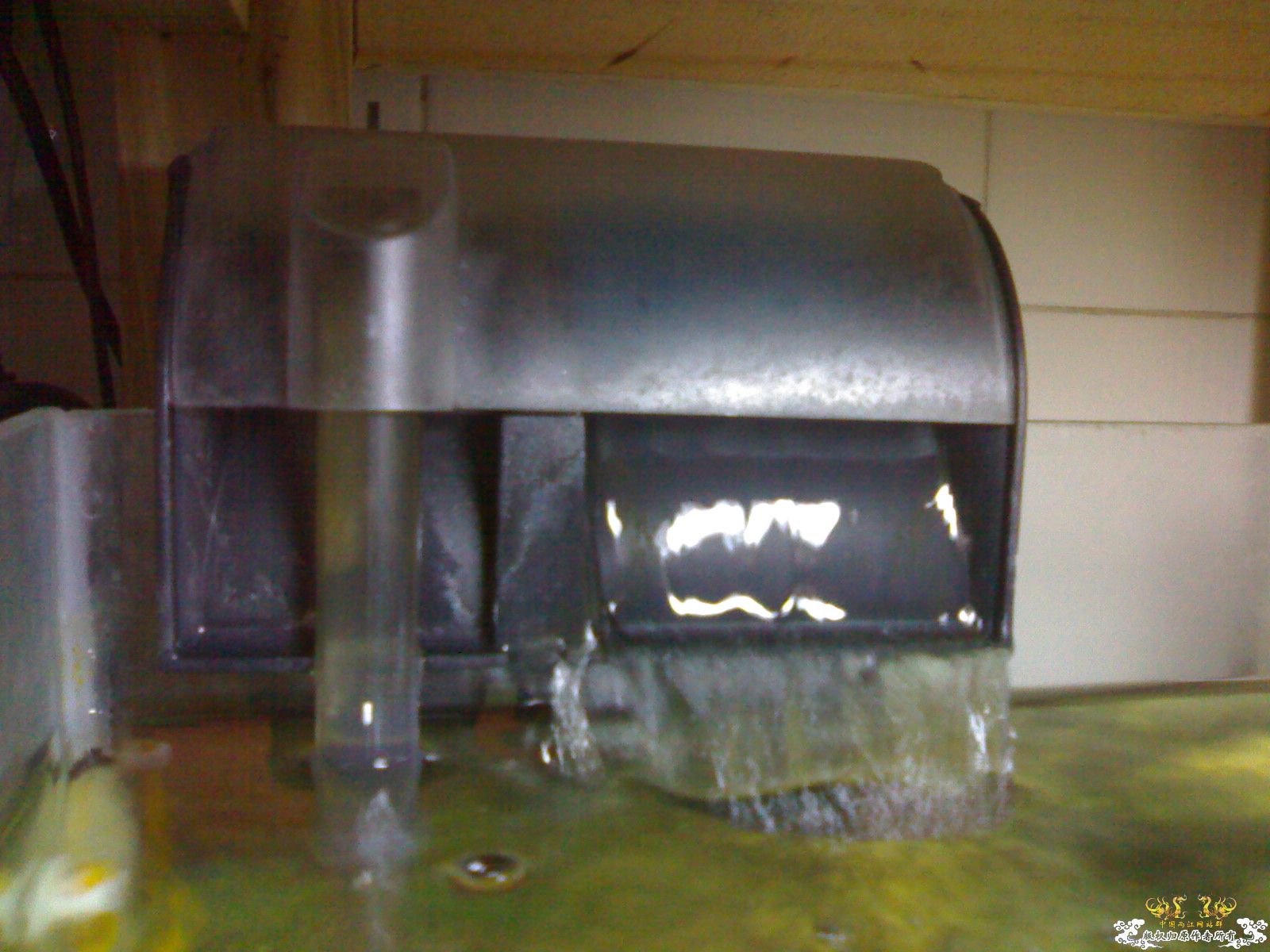 出小缸,换潜水泵 出小缸,换潜水泵