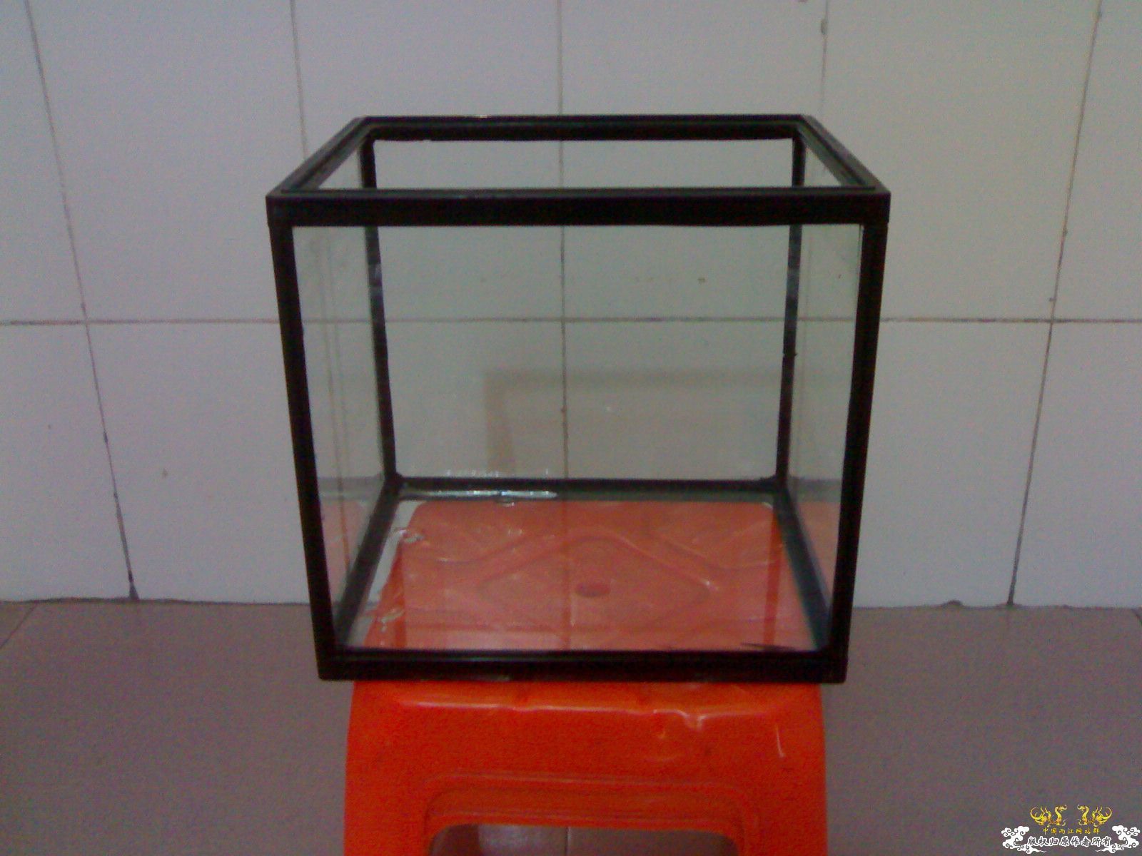 出小缸,换潜水泵 出小缸,换潜水泵