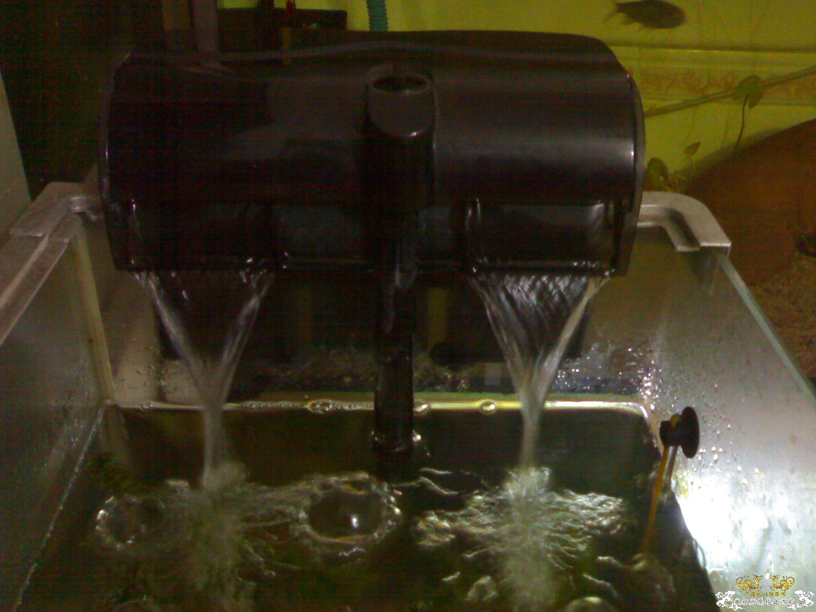 出小缸,换潜水泵 出小缸,换潜水泵