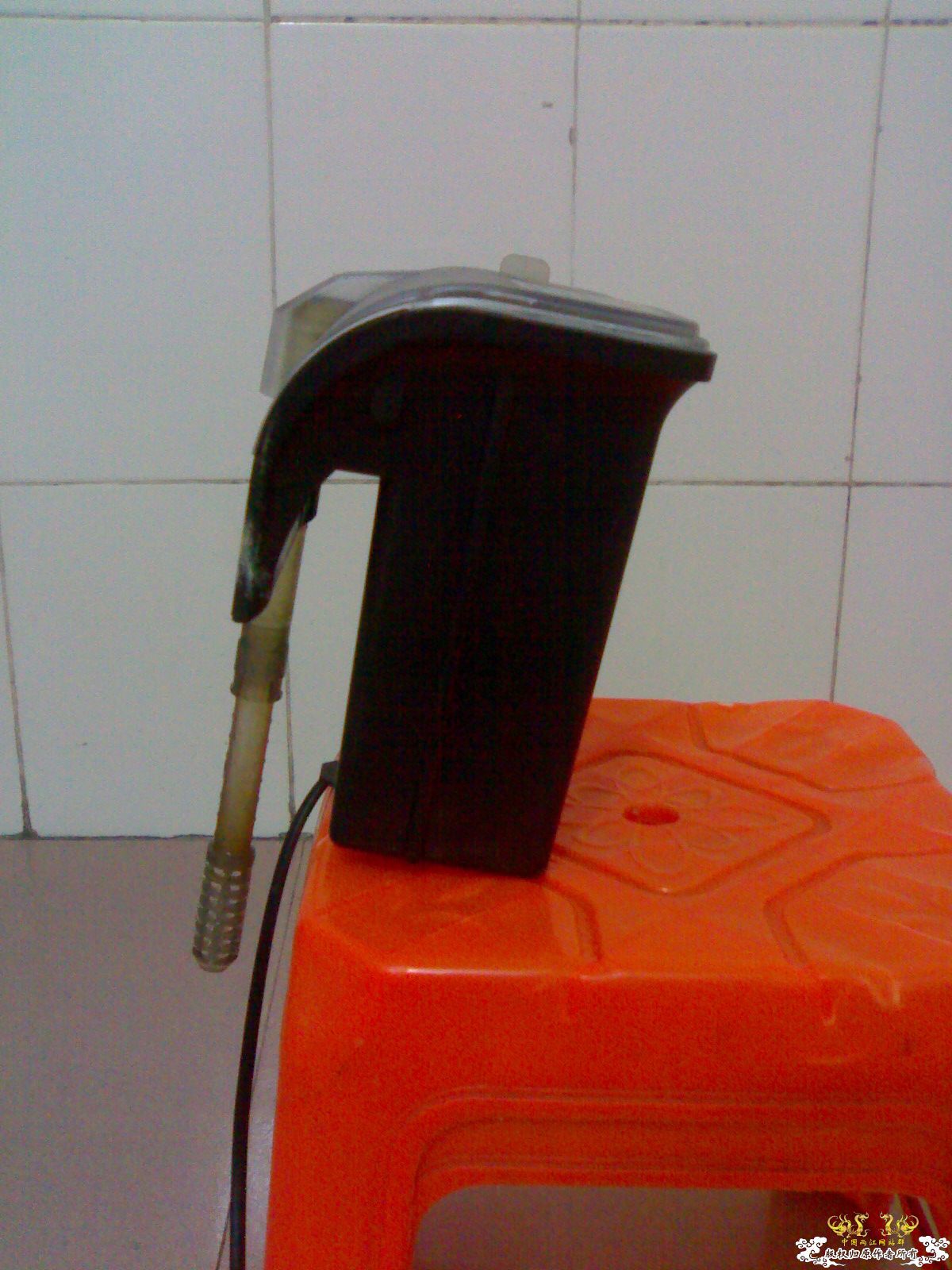 出小缸,换潜水泵 出小缸,换潜水泵