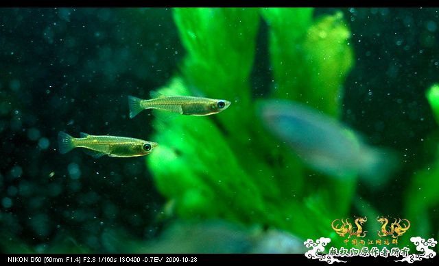 病了，发个帖提醒大家注意身体!