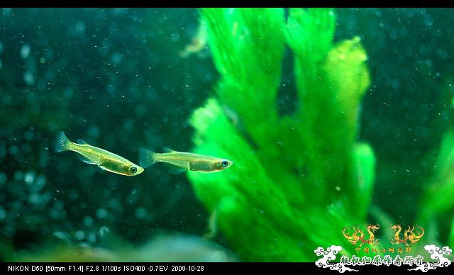 病了，发个帖提醒大家注意身体!