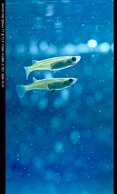 病了，发个帖提醒大家注意身体!