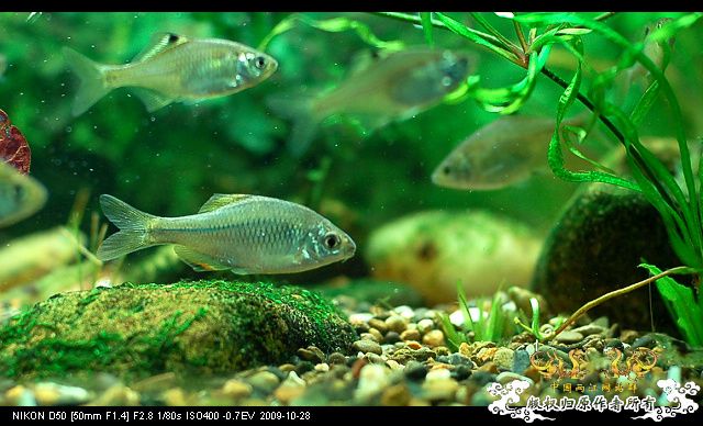 病了，发个帖提醒大家注意身体!