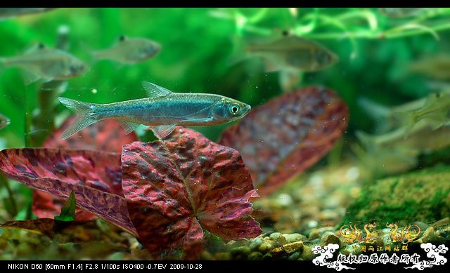 病了，发个帖提醒大家注意身体!