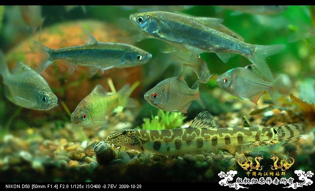 病了，发个帖提醒大家注意身体!