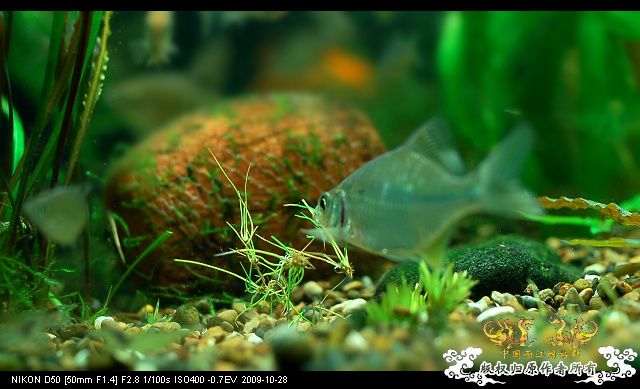 病了，发个帖提醒大家注意身体!