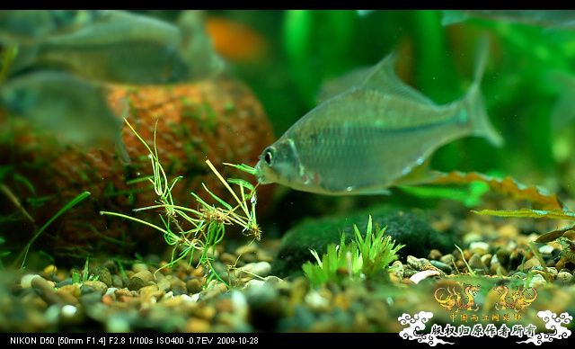 病了，发个帖提醒大家注意身体!