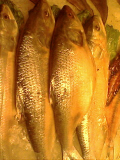 我在上海。。某海鲜饭店