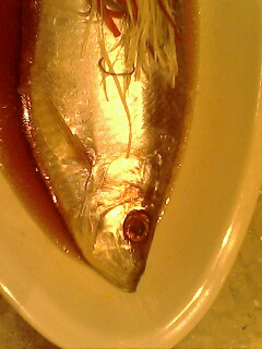 我在上海。。某海鲜饭店